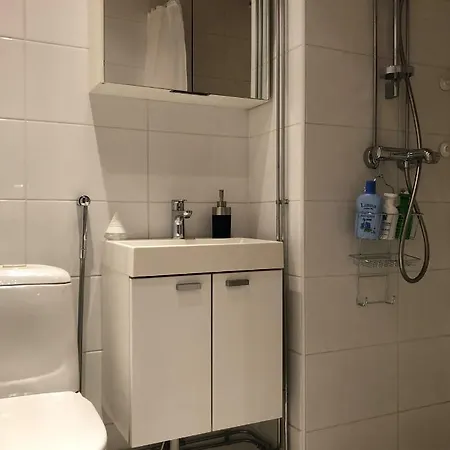 Feels Like Arctic Appartement